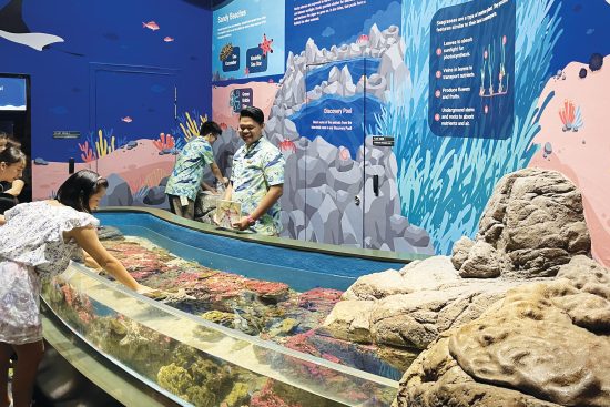 Singapore's Ultimate Family Weekend: Museums, Exhibits, and Adventures for 2024
